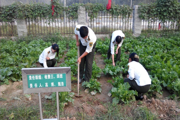 职工小菜园建设