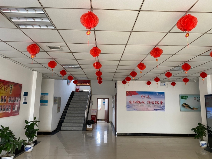 红红火火的春节气氛，作者杨利芳