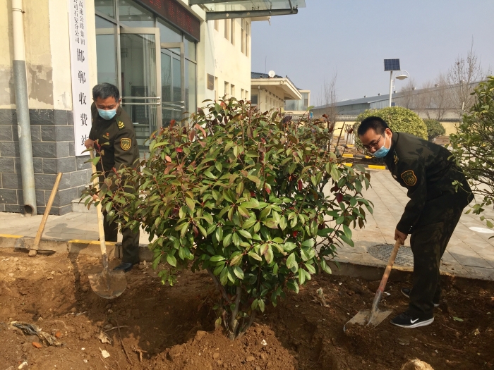 邯郸站：看展植树活动