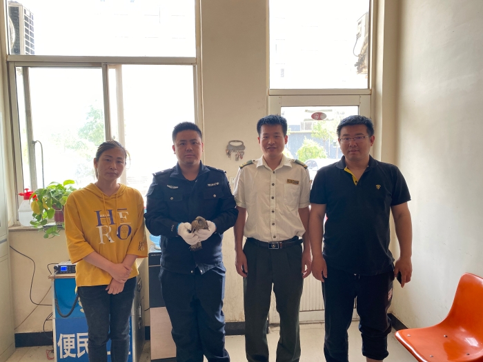 微信图片_20210510174232 微信图片_20210510174232