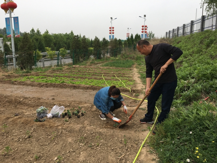 小菜园 小菜园