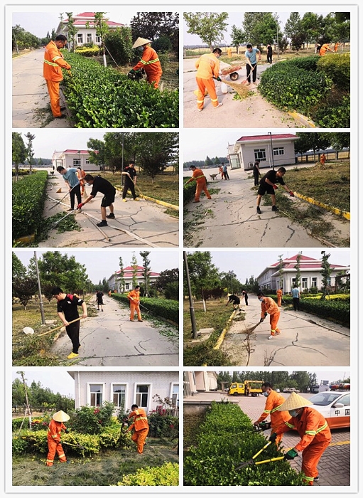 提升院区环境，打造靓丽家园