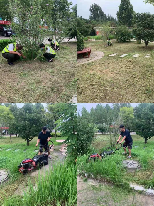 美化站区环境