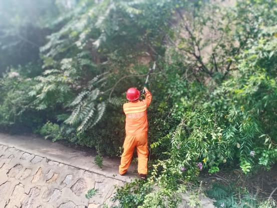 修剪绿植