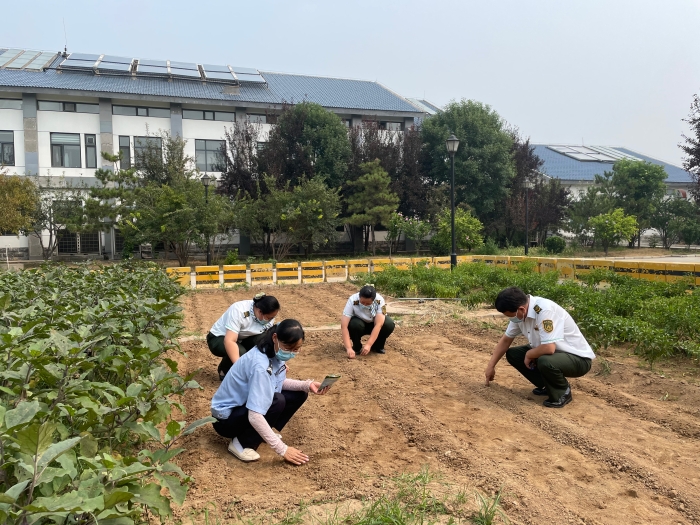 8月17日-藁城兴华路收费站-藁城兴华路站开展小菜园换季耕种工作 营造温馨家园打造幸福站区1