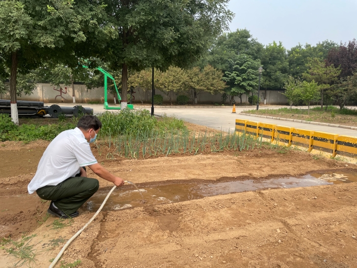 8月17日-藁城兴华路收费站-藁城兴华路站开展小菜园换季耕种工作 营造温馨家园打造幸福站区2