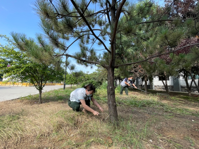 8月24日-藁城兴华路站-全体总动员践行党史学习 打造美丽站区4