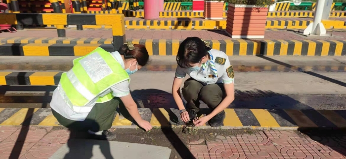 微信图片_20210913153019 微信图片_20210913153019