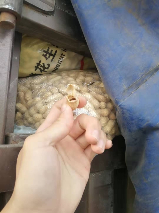 20211030230350