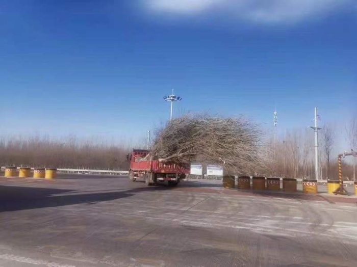 微信图片_20211218103215 微信图片_20211218103215