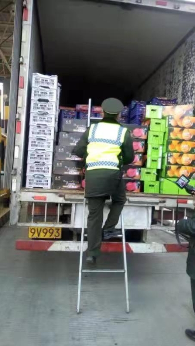 冀州南收费站：火眼金睛显神通，假冒绿通现原形1