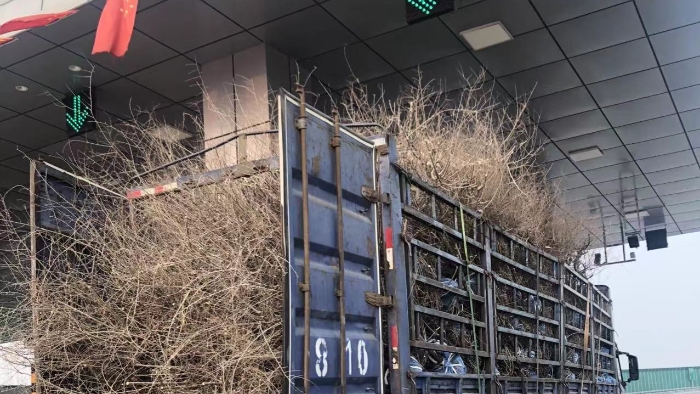 微信图片_20220224091008