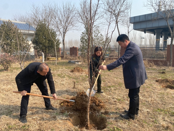 3月10日，河沙镇站进行植树活动，摄影杨利芳