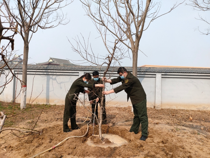 2022-3-11邺城站为新栽种冬桃树浇水，作者：张晶玉