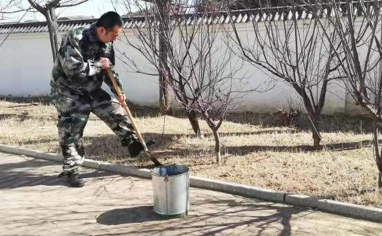 图片1 图片1