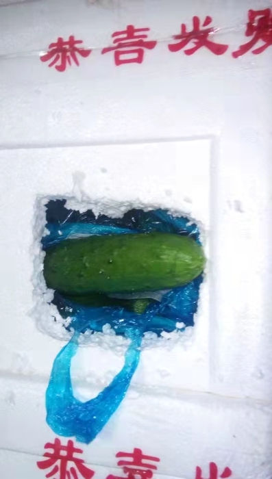 微信图片_20220328095143 微信图片_20220328095143