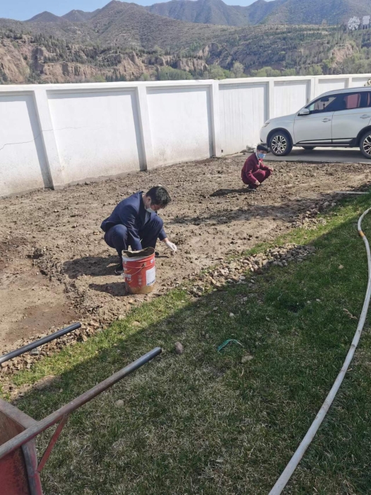 打造小菜园 打造小菜园