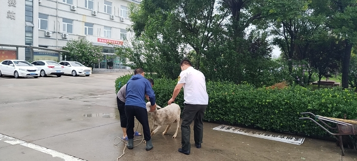 微信图片_202207071542401