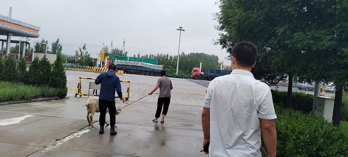 微信图片_202207071542405