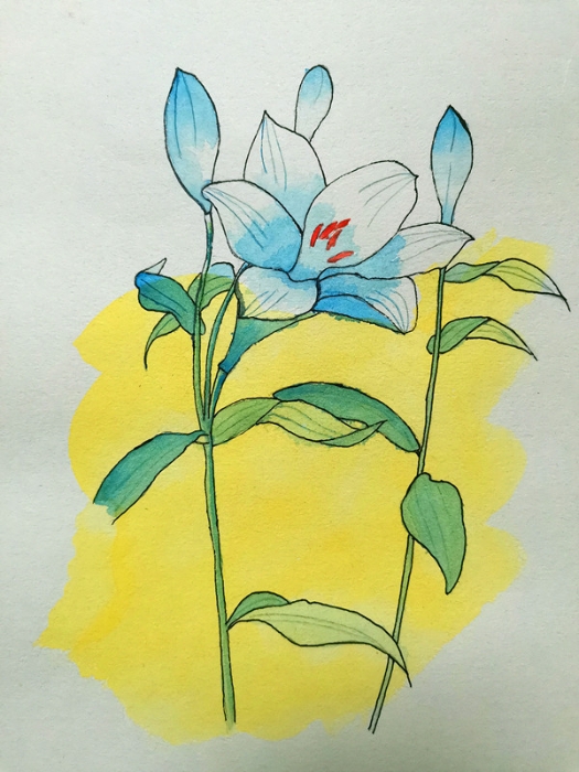 C:\Users\gyz\Pictures\12F398DB12545316CEE5370A20573D80_副本