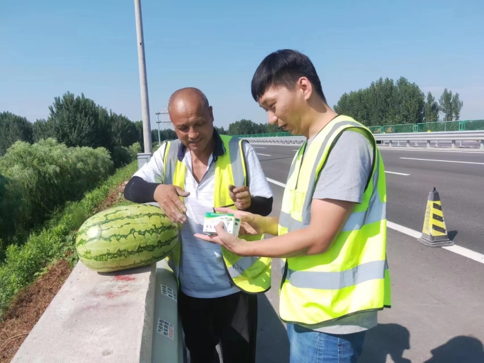 送清凉2
