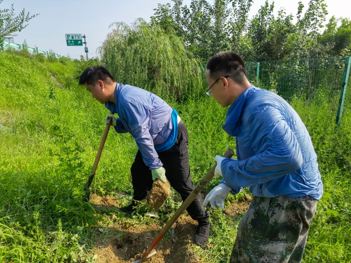 高温下的坚守—邢台所机电技术人员检修电缆