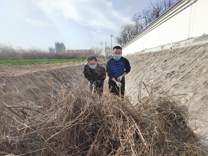 2023.3.13沙河站清理院区边沟枯枝落叶,摄:王蒙蒙 2023.3.13沙河站清理院区边沟枯枝落叶,摄:王蒙蒙