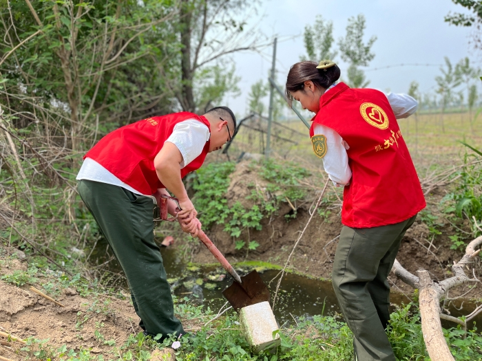 污水行动 污水行动