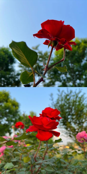 C:\Users\gyz\Pictures\QQ图片20230516113232