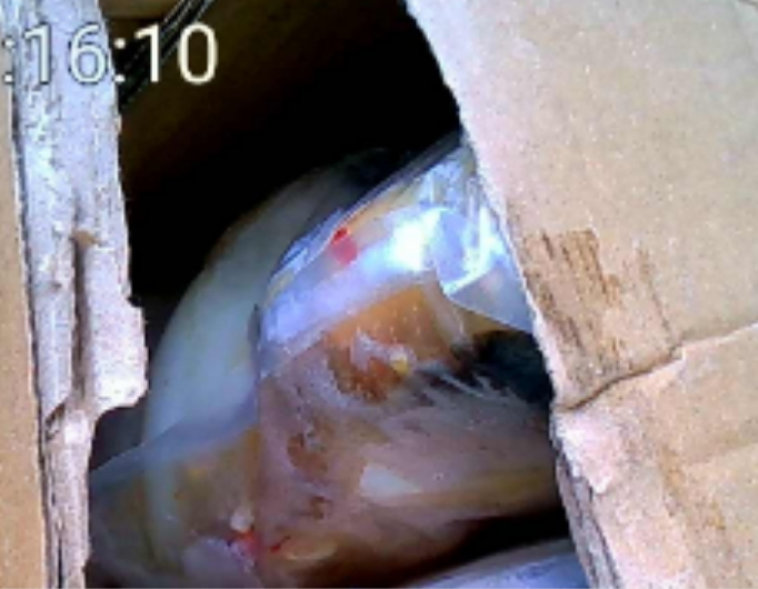 eb4380d5ac202e8e6f501b47906aeb9