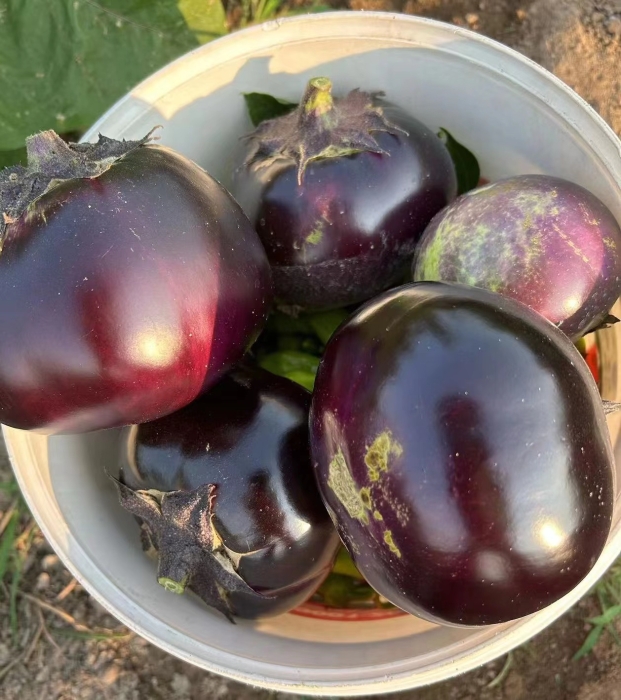 9b9cdac1354a7db5837e1a13bd8b696