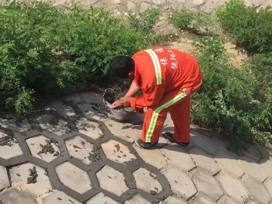微信图片_202308091149041
