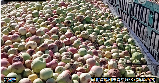 微信图片_20230918112627 微信图片_20230918112627