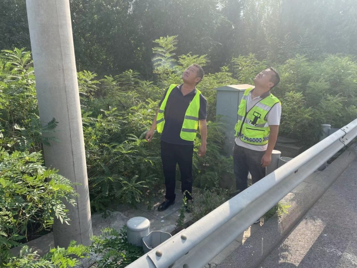 e69874f10f25f955e0863ca8df50189