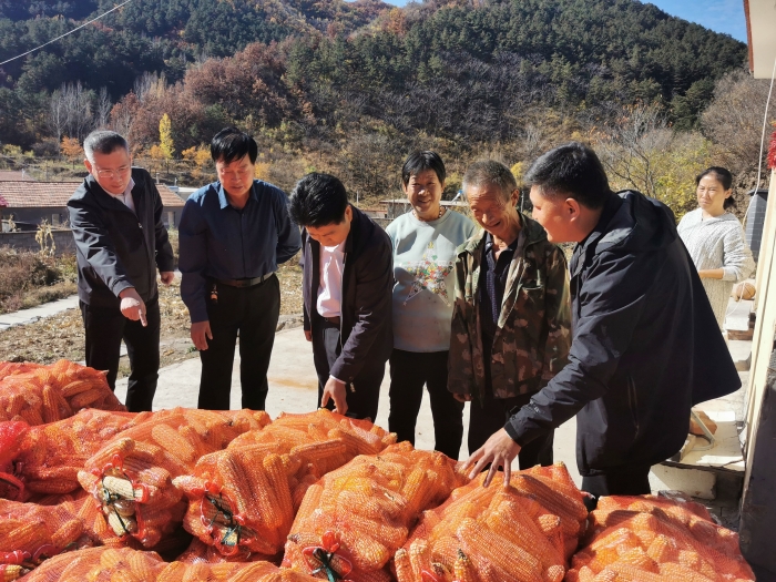 10.26分公司周俊启一行2人进行驻村队员交接和督导慰问