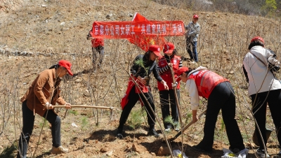 植家风 分 网站 配图1