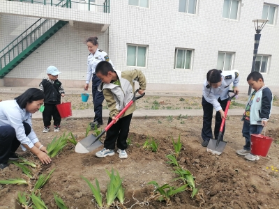植家风 分 网站 配图3