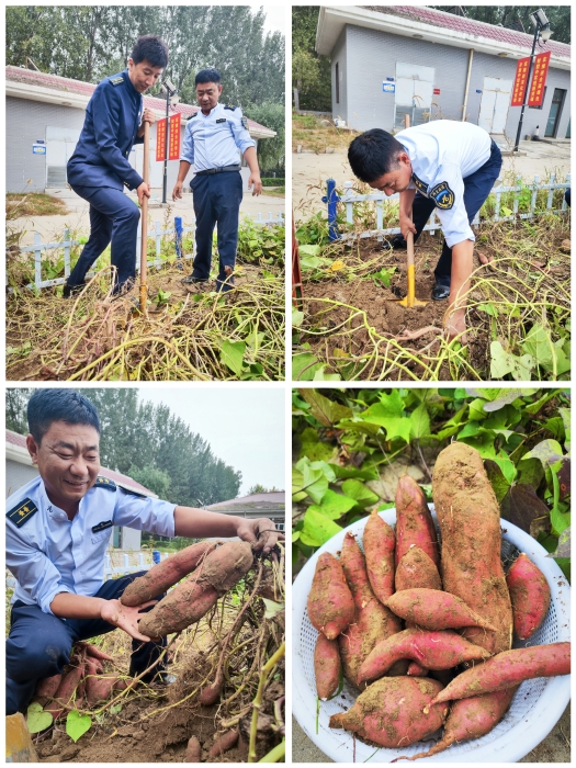 微信图片_20241017152719