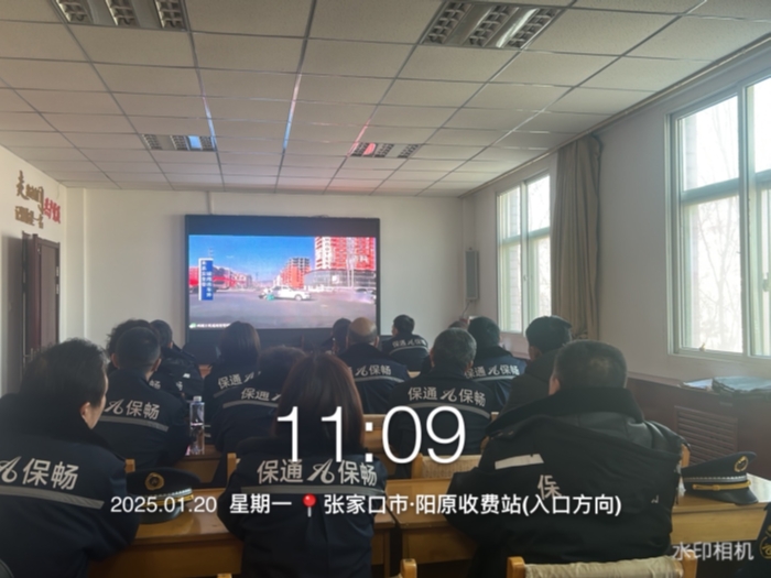 看片11