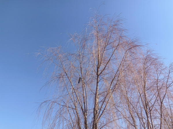 bbdc53cfb2179fe016d095d51f3e1912