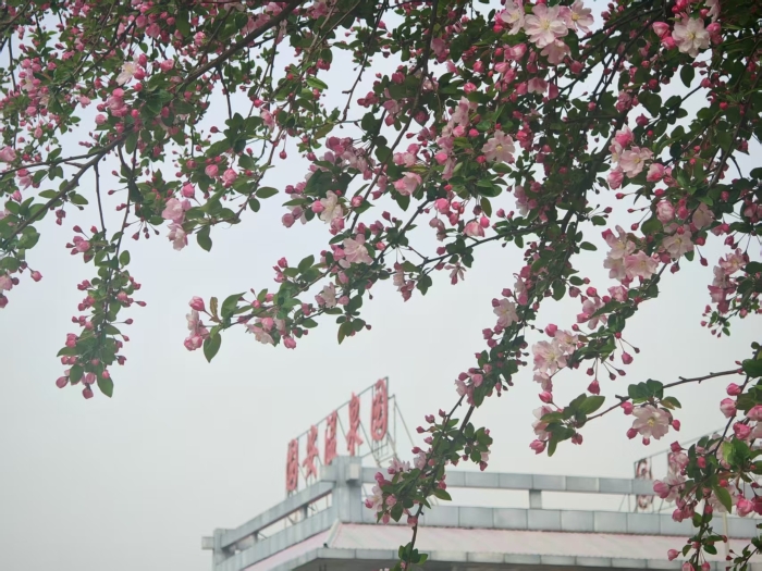 温泉园大广风景