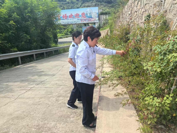 微信图片_2025-08-12_114322_642