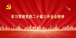  学习贯彻党的二十届三中全会精神