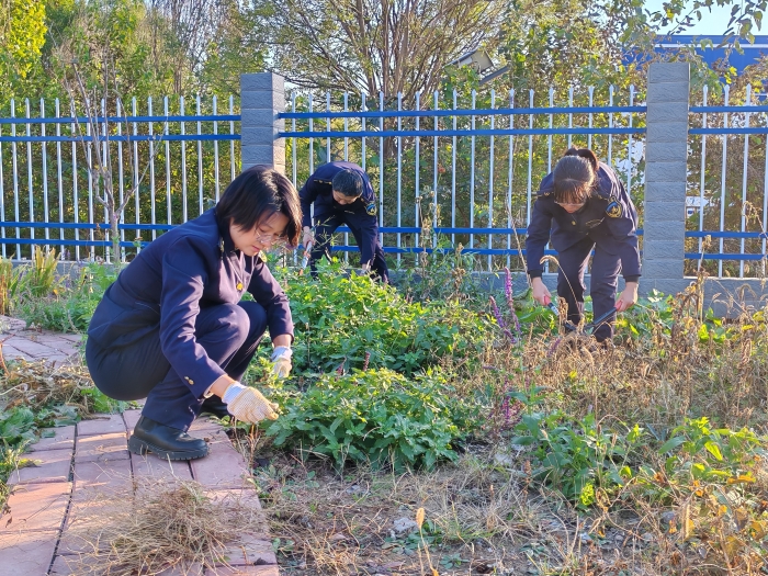 mmexport1761700082948 mmexport1761700082948