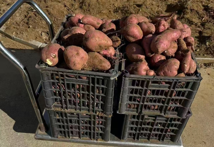 17aee91df615da9eb091e4998e76e8d4