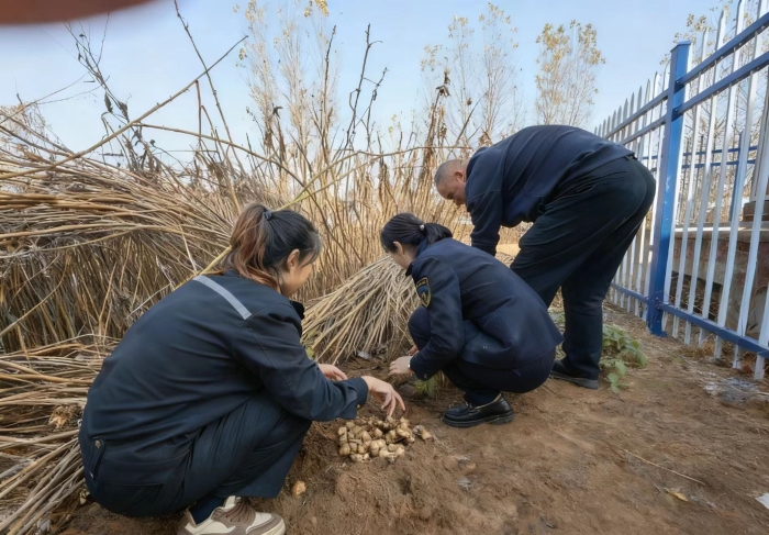 c64f8d4dec2de20d49ace30be13e9e54