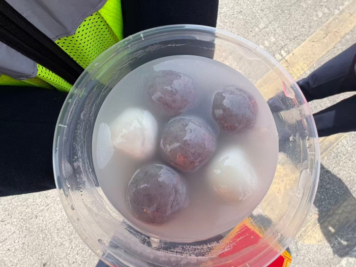 微信图片_20260303162557_103_138