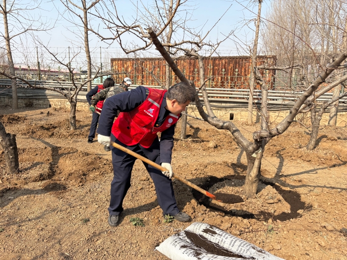 c798c0b2a1ce287d9b8745bb747ca3e8